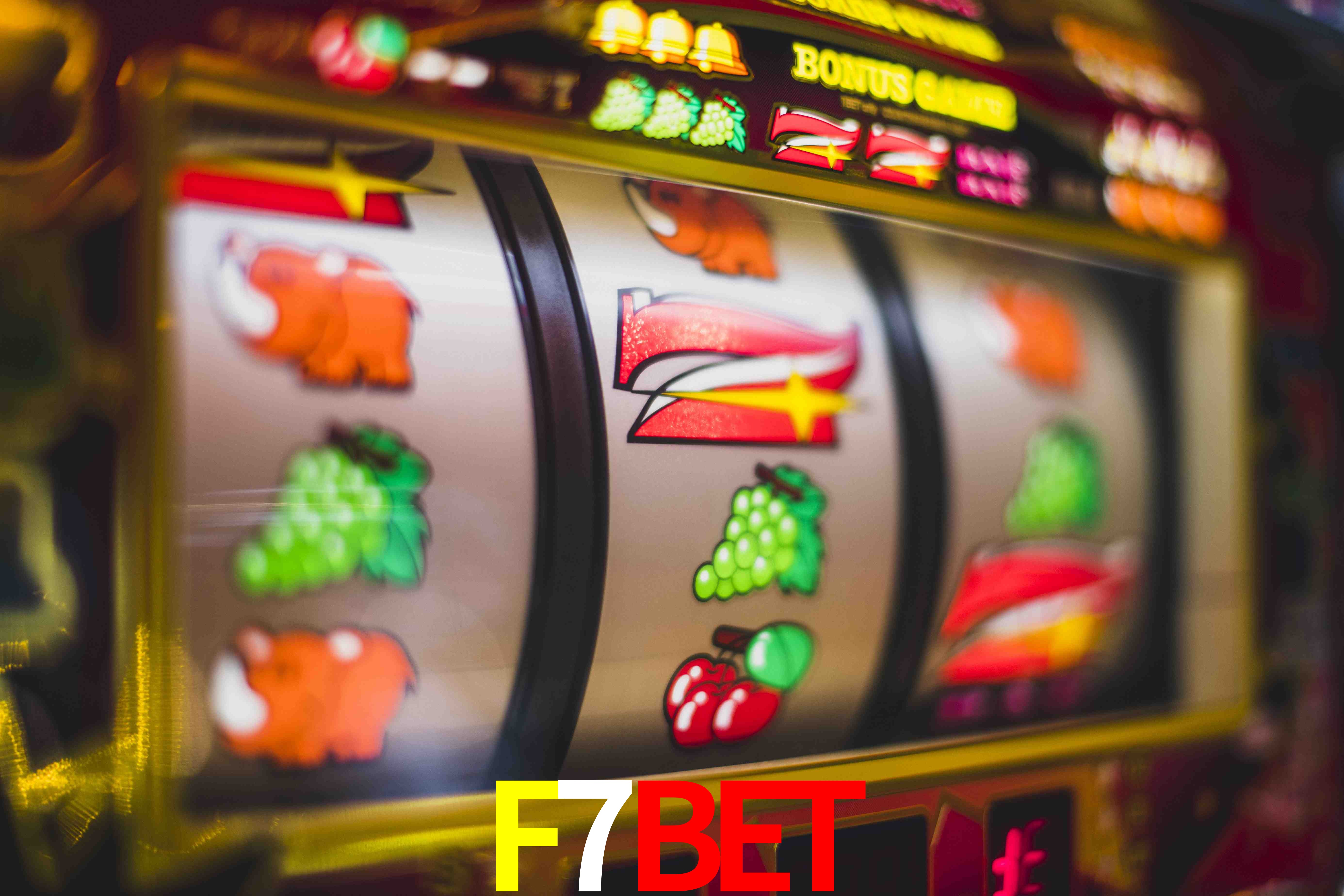 Sports Statistics F7BET